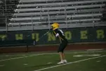 IMG 0381