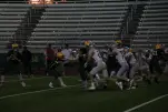 IMG 0211