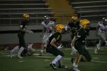 IMG 0541