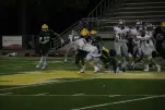 IMG 0265