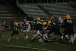 IMG 0505