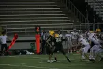 IMG 0560