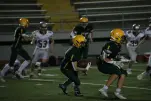 IMG 0542