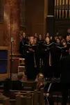 IMG 0154