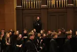 IMG 0110