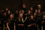 IMG 0260
