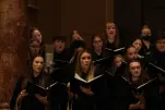 IMG 0455