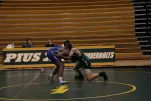 IMG 0011