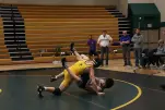 IMG 0255