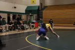 IMG 0910