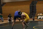 IMG 0849