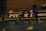 IMG 0100