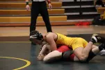 IMG 3062