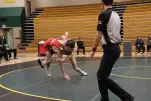 IMG 3316