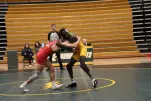 IMG 2837