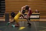 IMG 2514