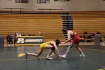IMG 3169