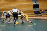 IMG 1308