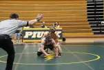 IMG 0817