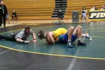 IMG 1131
