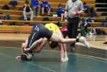 IMG 1011