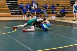 IMG 0215