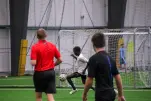 IMG 0238