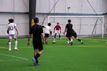 IMG 0017