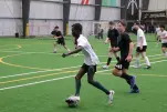 IMG 0111