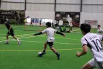 IMG 0048