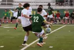 IMG 2029