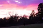 IMG 2193