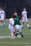 IMG 3912