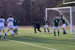 IMG 3011