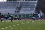 IMG 3015