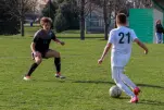 IMG 7310