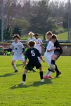 IMG 7223