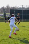 IMG 7304