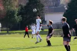 IMG 7353