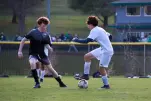 IMG 7782